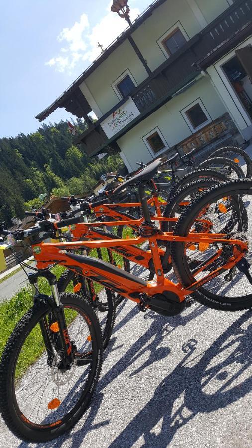 Gasthaus Mamooserhof Hopfgarten im Brixental Buitenkant foto